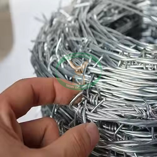 Galvanized Barbed Wire